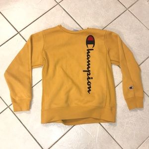 Athletic champion sweater